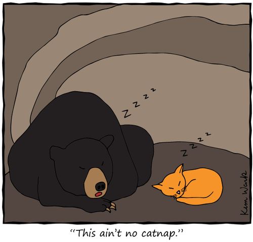 "This ain't no catnap."