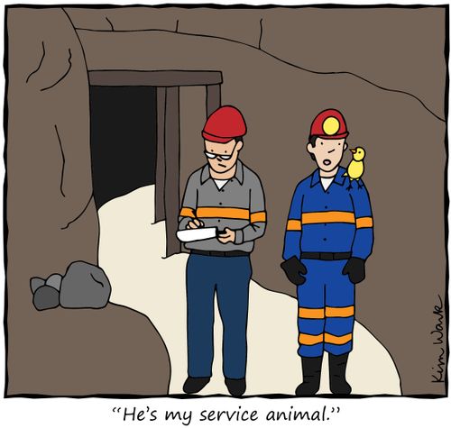 "He's my service animal."