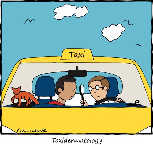 Taxidermatology