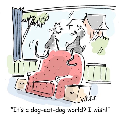 "It's a dog-eat-dog world? I wish!"
