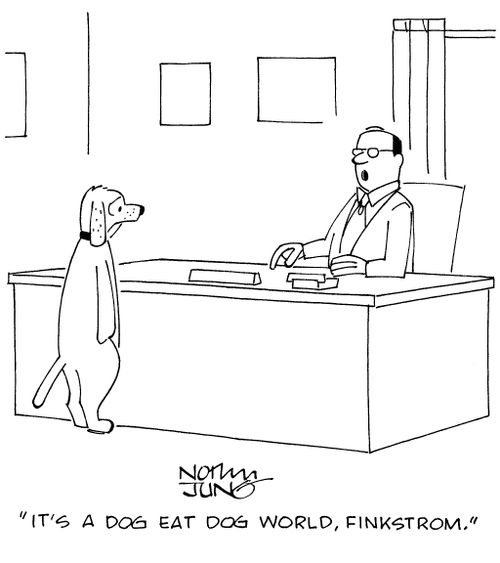 "It's a dog eat dog world, Finkstrom."
