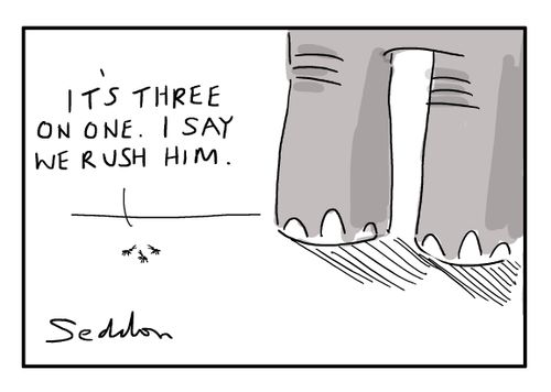 "It's three on one. I say we rush him."