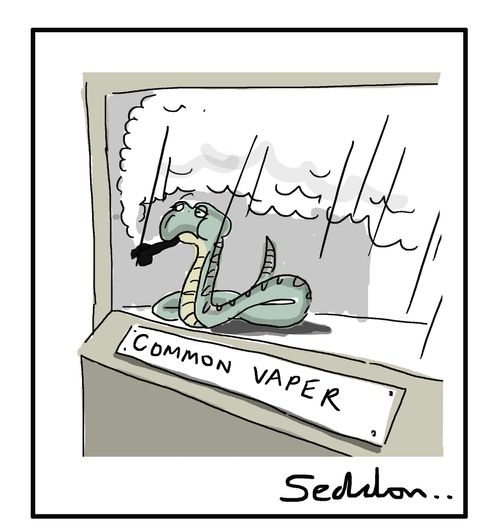 Common Vaper