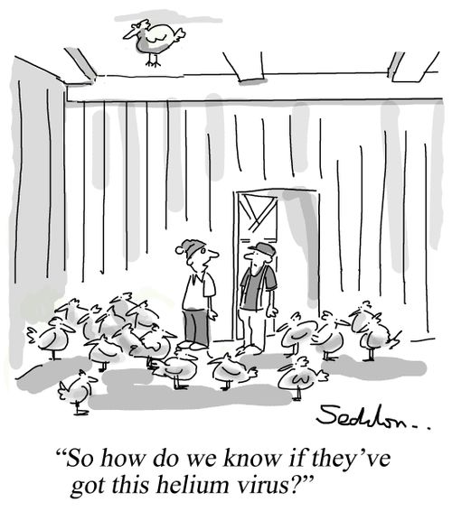 "So how do we know if they've got this helium virus?"