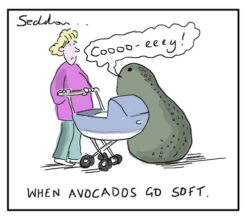 When avocados go soft