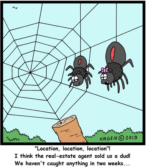 "'Location, location, location'! I think the real-estate agent sold us a dud! We haven't caught anything in two weeks..."
