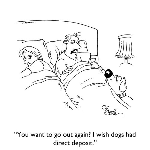 "You want to go outside again? I wish dogs had direct deposit."
