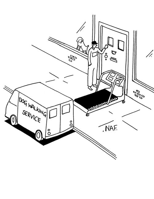 Dog Walking Services