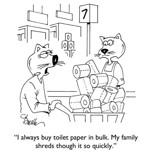 "I always buy toilet paper in bulk. My family shreds through it so quickly."