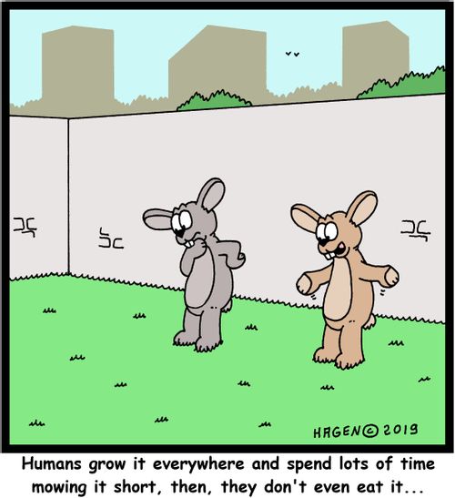 "Humans grow it everywhere and spend lots of time mowing it short, then, they don't even eat it..."