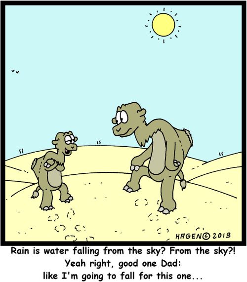 "Rain is water falling from the sky? From the sky?! Yeah right, good one Dad: like I'm going to fall for this one..."