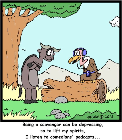 "Being a scavenger can be depressing, so to lift my spirits, I listen to comedians' podcasts..."