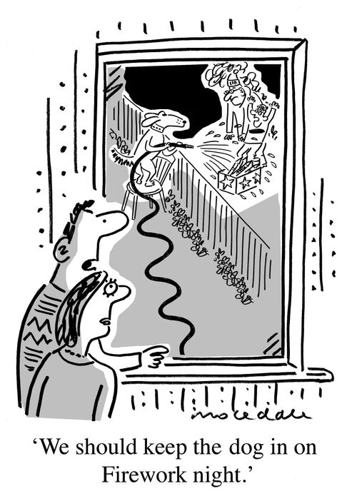 "We should keep the dog in on Firework night."