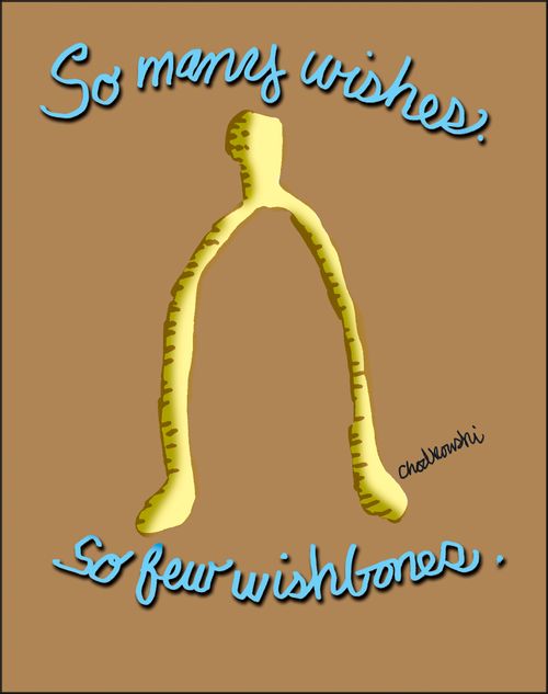 So Many Wishes so few wishbones.