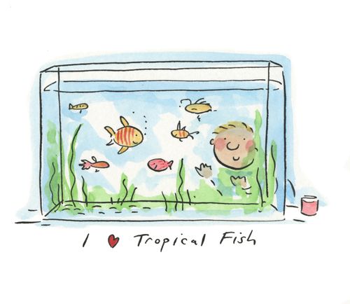 I love Tropical Fish