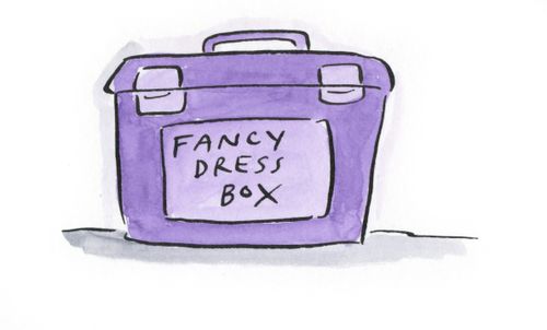 Fancy Dress Box