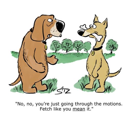 "No, no, you're just going through the motions. Fetch like you mean it."