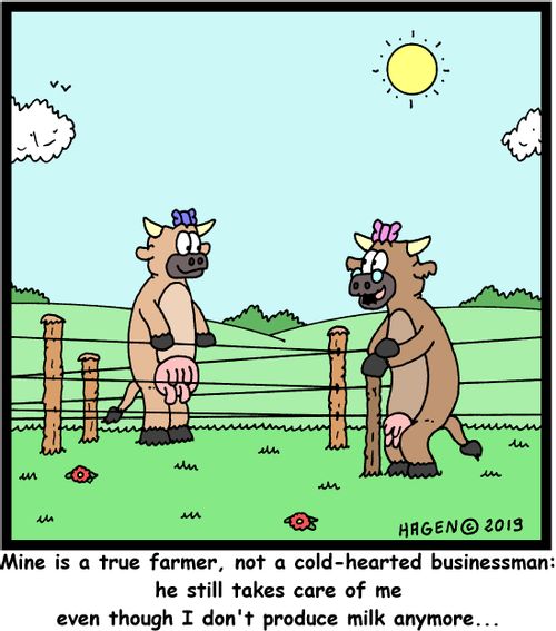 "Mine is a true farmer, not a cold-hearted businessman: he still takes care of me even though I don't produce milk anymore..."