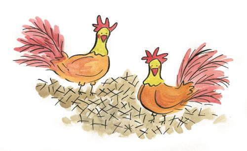Chickens