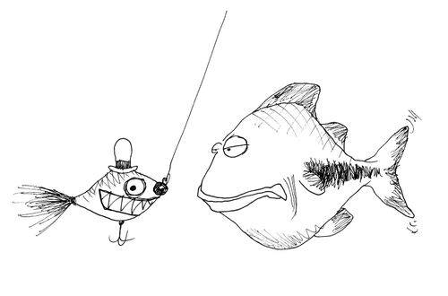 Suspicious fish looking at funny fishing lure