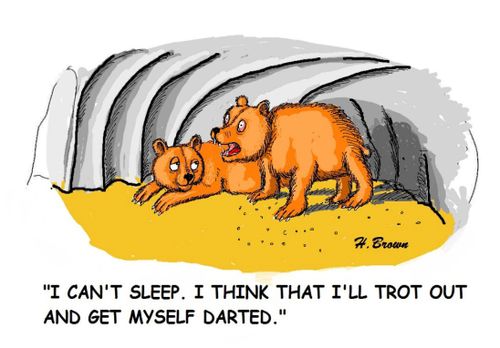 "I can't sleep. I think that I'll trot out and get myself darted."
