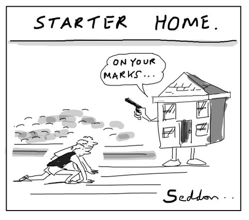 Starter Home