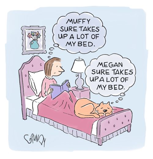 "Muffy sure takes up a lot of my bed."