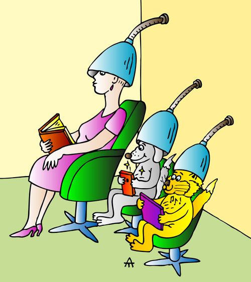 Beauty shop