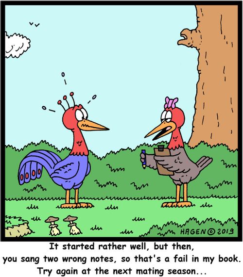 "It started rather well, but then, you sang two wrong notes, so that's a fail in my book. Try again at the next mating season..."