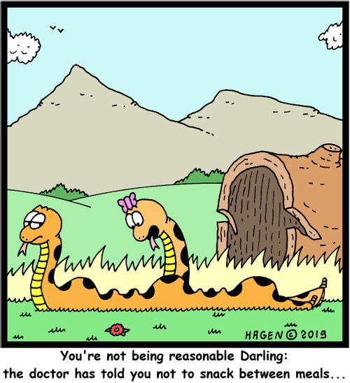 "You're not being reasonable Darling: the doctor has told you not to snack between meals..."