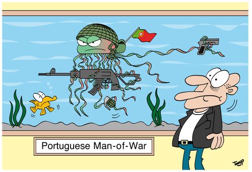 Portuguese Man-of-War