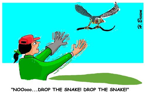 "Noooooo. . . Drop the snake! Drop the snake!"