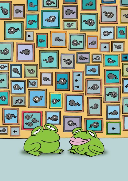 Frog Family