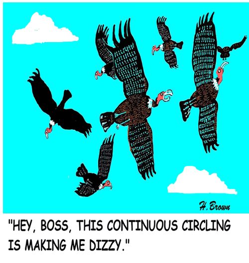 "Hey, boss, this continuous circling is making me dizzy."