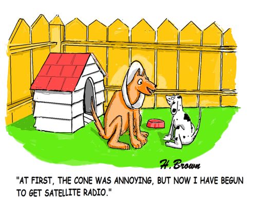 "At first, the cone was annoying, but now I have begun to get satellite radio."