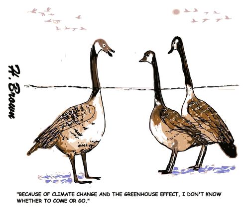 "Because of climate change and the greenhouse effect, I don't know whether to come or go."