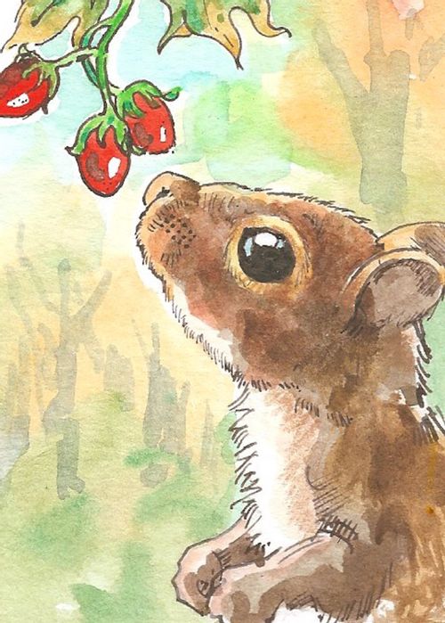 Baby squirrel & Berries