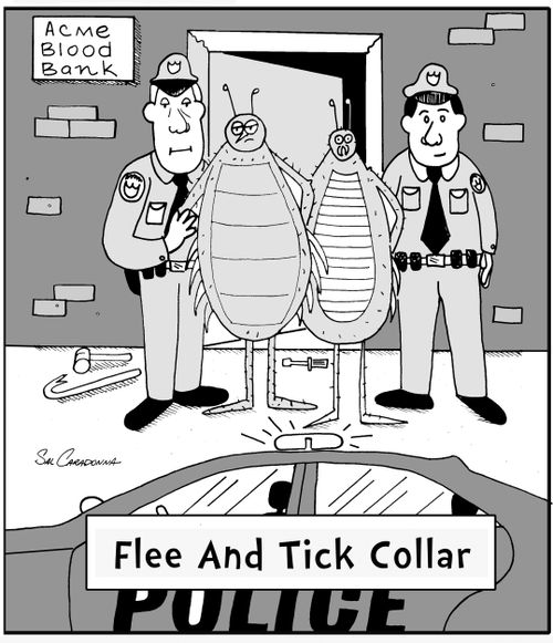 Flee And Tick Collar
