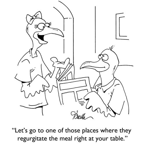 "Let's go to one of those places where they regurgitate the meal right at your table."