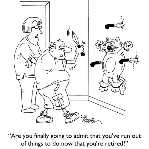 "Are you finally going to admit that you've run out of things to do now that you're retired?"