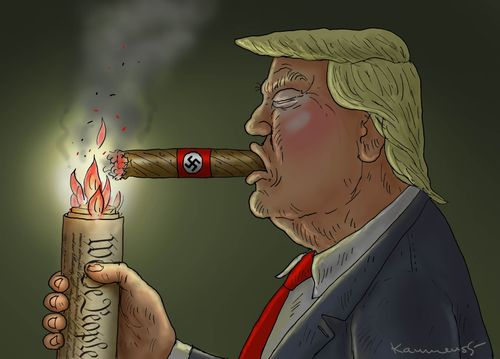 Trump and the American Constitution