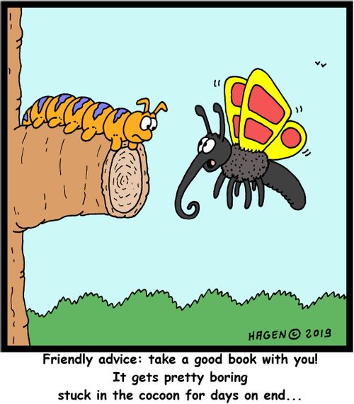 "Friendly advice: take a good book with you! It gets pretty boring stuck in the cocoon for days on end..."