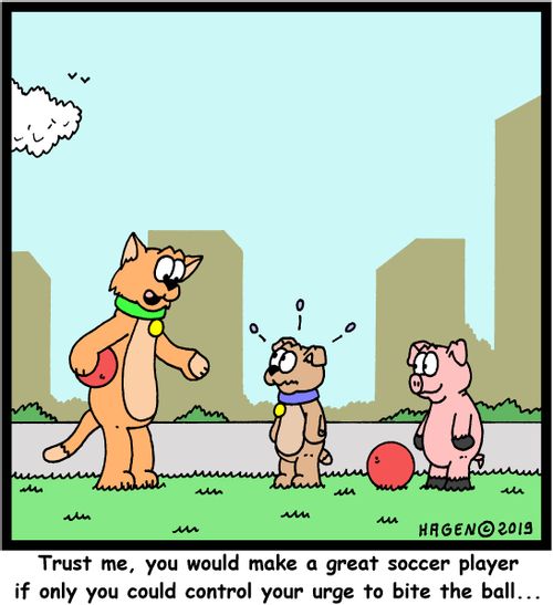 "Trust me, you would make a great soccer player if only you could control your urge to bite the ball..."