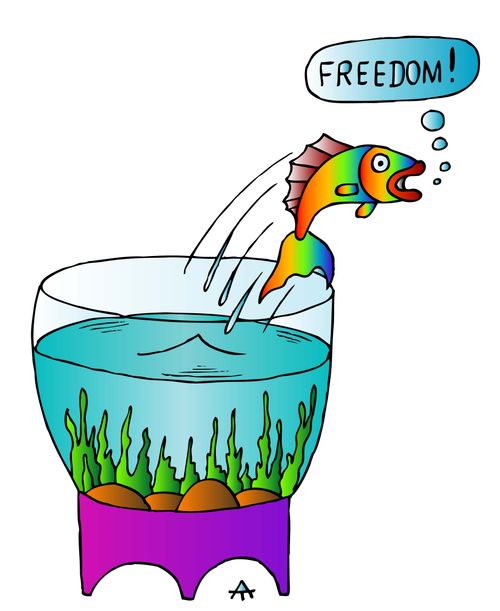 "Freedom!"