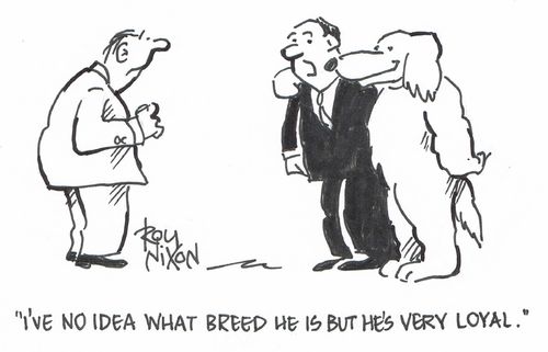 "I've no idea what breed he is but he's very loyal."