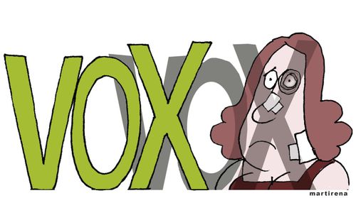 Vox Boycotts Gender Violence Declaration
