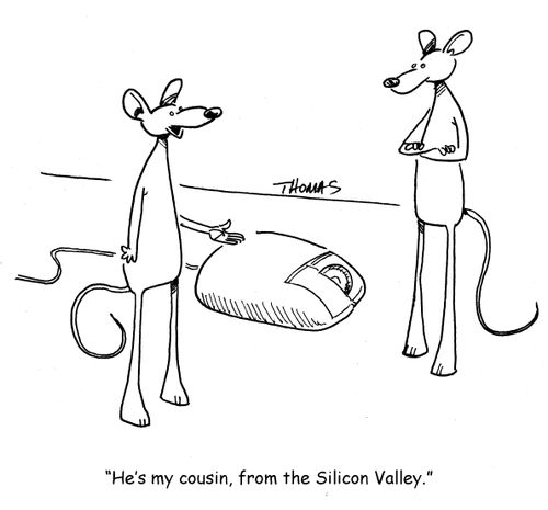 "He's my cousin, from the Silicon Valley."