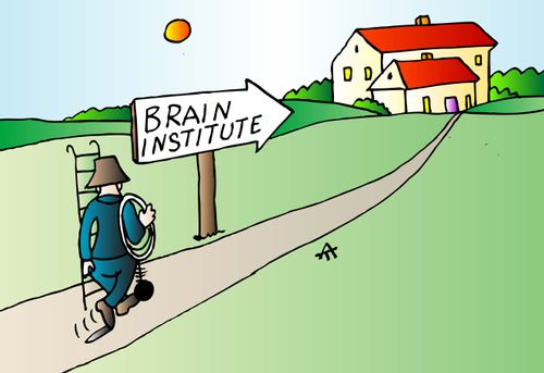 Brain Institute