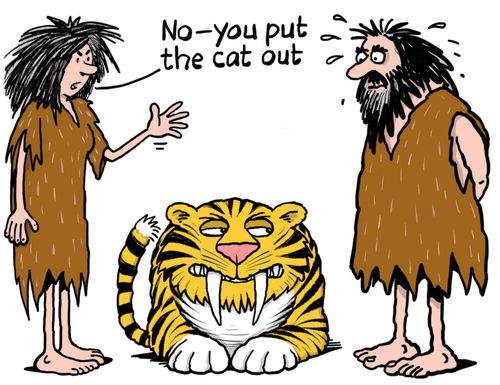 "No - you put the cat out."