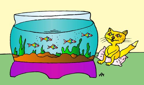 Fish and cat